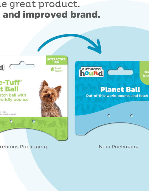 Load image into Gallery viewer, Orbee-Tuff Planet Ball Blue/Green Treat-Dispensing Dog Toy, Small
